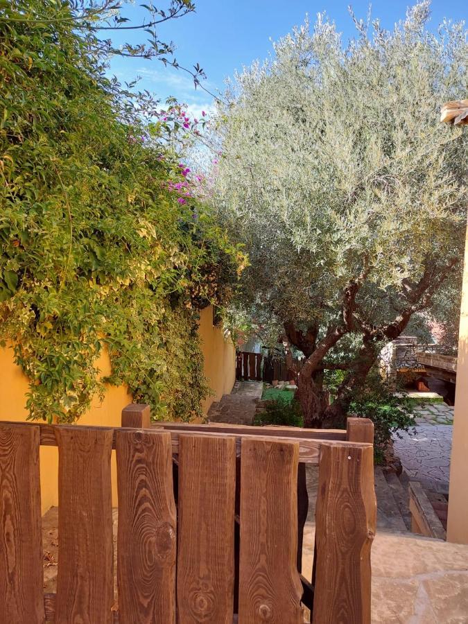 L'Orchidea Villa Capitana Exterior foto