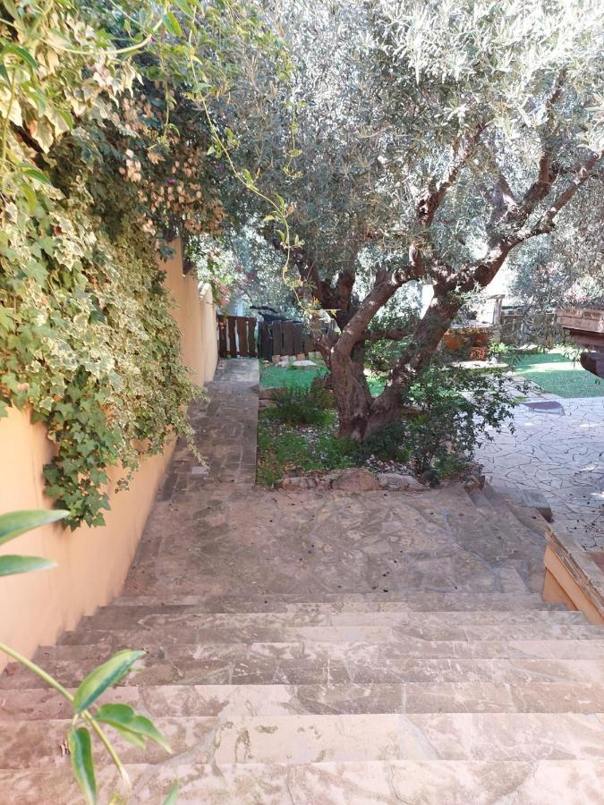 L'Orchidea Villa Capitana Exterior foto
